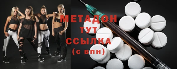 индика Надым