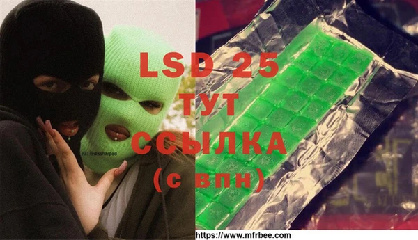 индика Надым