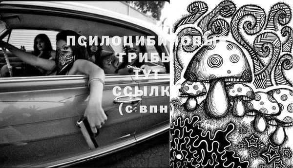 прущая мука Михайлов