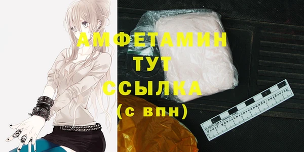 индика Надым