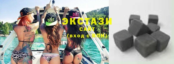 индика Надым