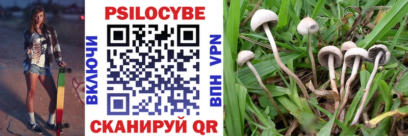 Псилоцибиновые грибы Magic Shrooms  Снежногорск 